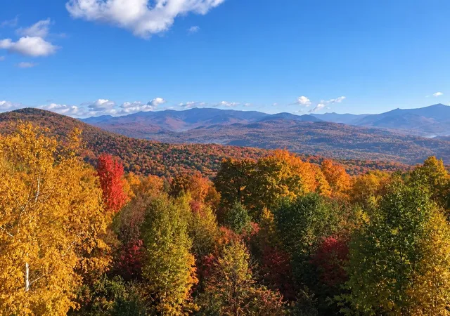 Land for sale at 0 Puckerbrush Rd, Campton, NH 03223 | MLS# 5084993