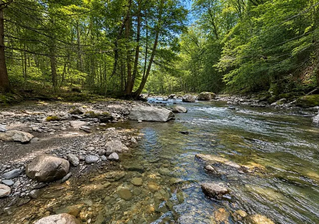 Photo 2 of Land for sale at 0 Hill West Rd, Montgomery, VT 05470 | MLS# 5086755 | Listing updated on 2026-09-09