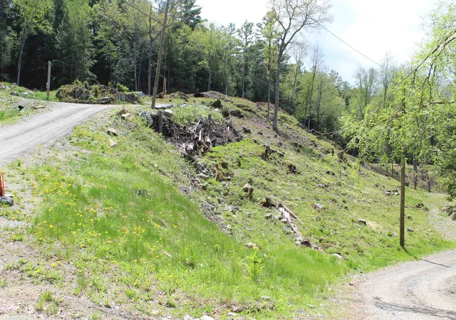 Photo 3 of Land for sale at Lot 23/24 Wetherbee Rd, Lyman, NH 03585 | MLS# 5090359 | Listing updated on 2026-09-01