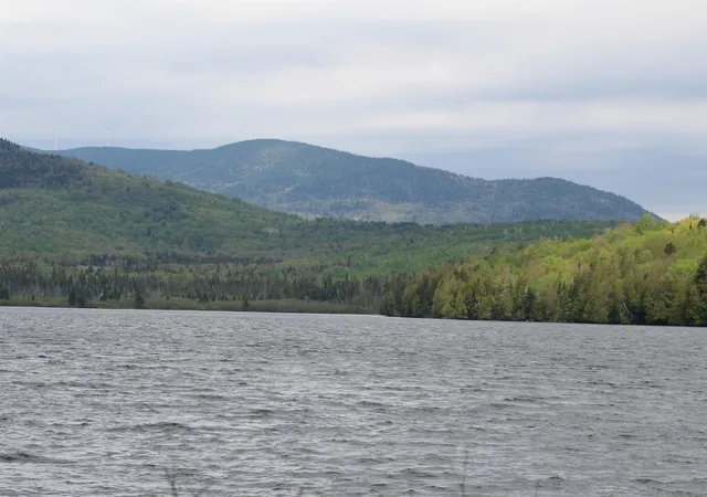 Photo 3 of Single family home for sale at 49 Pond Outlet Rd, Colebrook, NH 03576 | MLS# 5091551 | Listing updated on 2026-09-01