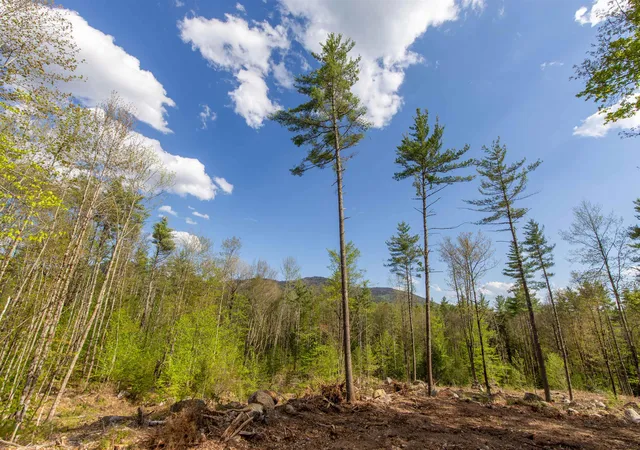 Photo 2 of Land for sale at 000 Elijah Beede Rd, South Tamworth, NH 03883 | MLS# 5091833 | Listing updated on 2026-09-11