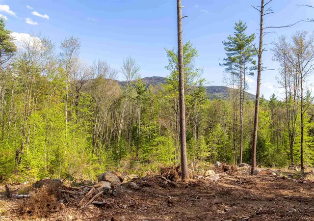 Photo 3 of Land for sale at 000 Elijah Beede Rd, South Tamworth, NH 03883 | MLS# 5091833 | Listing updated on 2026-09-11