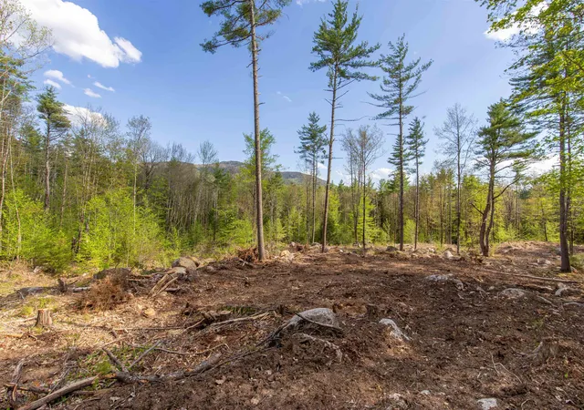 Photo 3 of Land for sale at 000 Elijah Beede Rd, South Tamworth, NH 03883 | MLS# 5091833 | Listing updated on 2026-09-11