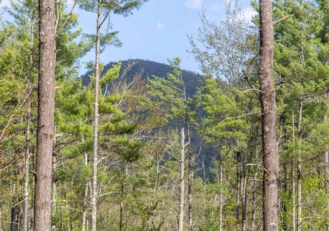 Photo 4 of Land for sale at 000 Elijah Beede Rd, South Tamworth, NH 03883 | MLS# 5091833 | Listing updated on 2026-09-11