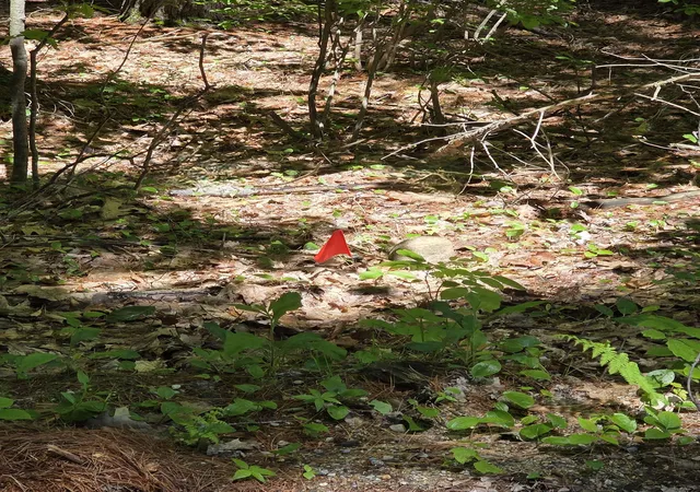 Photo 2 of Land for sale at 10 8 2 Stowell Rd, New Ipswich, NH 03071 | MLS# 5092692 | Listing updated on 2026-09-11