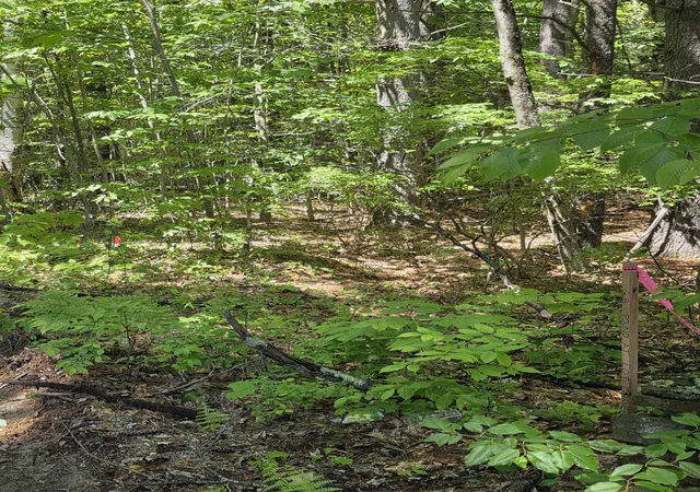 Photo 3 of Land for sale at 10 8 2 Stowell Rd, New Ipswich, NH 03071 | MLS# 5092692 | Listing updated on 2026-09-11
