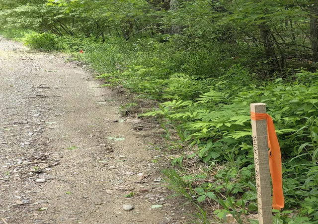 Photo 2 of Land for sale at 10 8 3 Stowell Rd, New Ipswich, NH 03071 | MLS# 5092693 | Listing updated on 2026-09-08