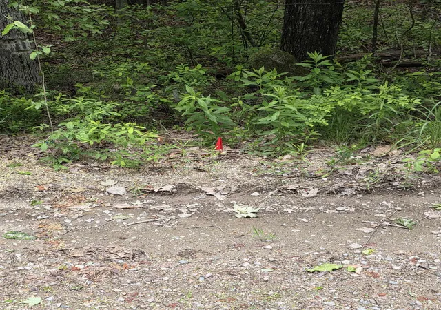 Photo 3 of Land for sale at 10 8 3 Stowell Rd, New Ipswich, NH 03071 | MLS# 5092693 | Listing updated on 2026-09-08