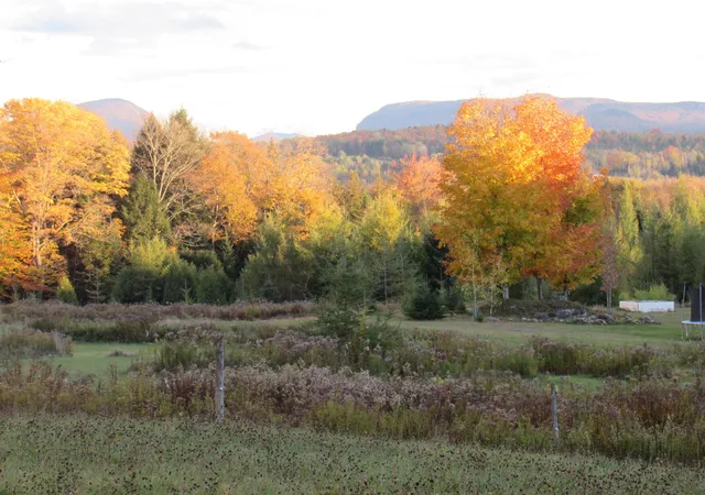 Photo 3 of Single family home for sale at 786 Dutton Brook Ln, Orleans, VT 05860 | MLS# 5097152 | Listing updated on 2026-10-09