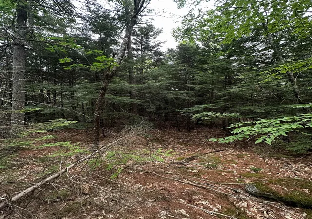 Photo 3 of Land for sale at 877 N Barnstead Rd, Center Barnstead, NH 03225 | MLS# 5099997 | Listing updated on 2026-09-11