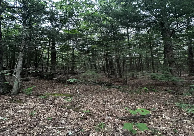Photo 4 of Land for sale at 877 N Barnstead Rd, Center Barnstead, NH 03225 | MLS# 5099997 | Listing updated on 2026-09-11
