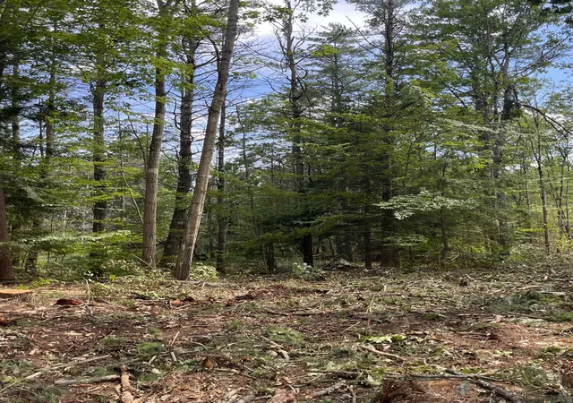 Photo 3 of Land for sale at Map 242 Lot 6 Columbus Jordan Rd, Plainfield, NH 03781 | MLS# 5100618 | Listing updated on 2026-09-03