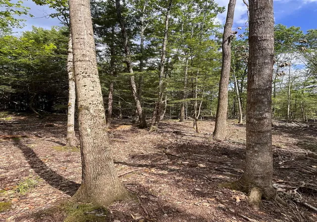 Photo 4 of Land for sale at Map 242 Lot 6 Columbus Jordan Rd, Plainfield, NH 03781 | MLS# 5100618 | Listing updated on 2026-09-03