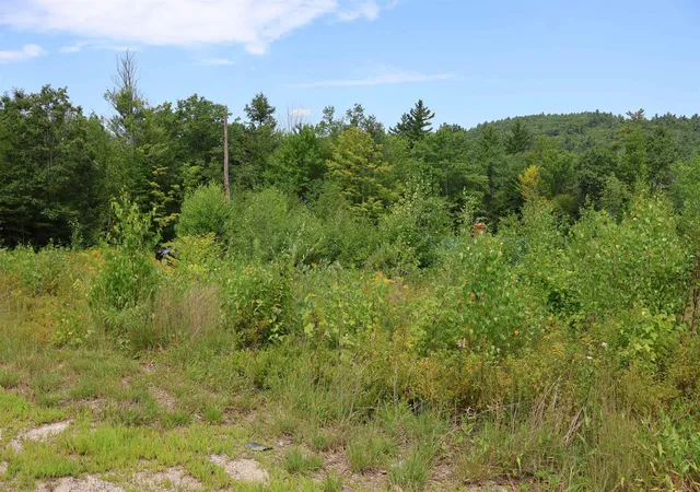 Photo 3 of Land for sale at 345 Keene Rd, Antrim, NH 03440 | MLS# 5101884 | Listing updated on 2026-09-09