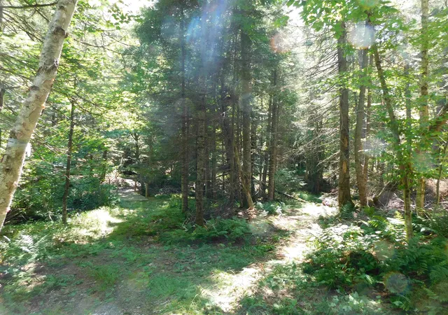 Photo 1 of Land for sale at 0 Cloutiers Loop, Pittsburg, NH 03592 | MLS# 5102752 | Listing updated on 2026-10-10