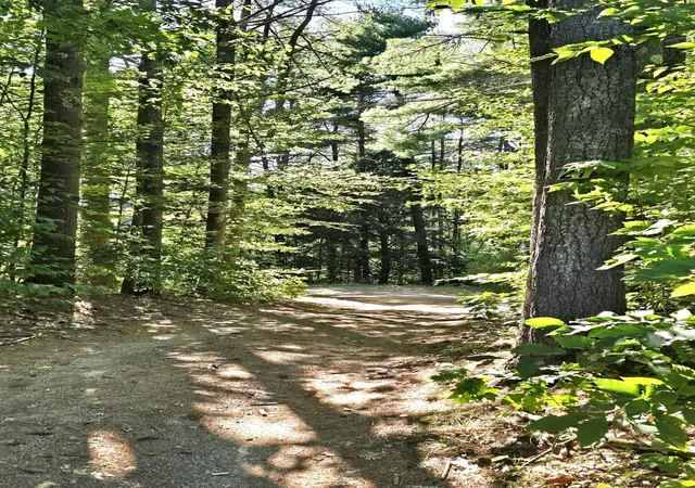 Photo 2 of Single family home for sale at 21 Wildwood Rd, Albany, NH 03818 | MLS# 5103380 | Listing updated on 2026-10-07