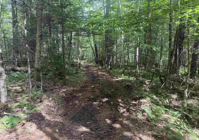 Photo 2 of Land for sale at 168 Old Walker Hill Rd, Littleton, NH 03561 | MLS# 5103636 | Listing updated on 2026-09-01