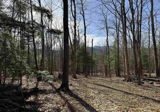 Photo 2 of Land for sale at 00 Conway Rd, Madison, NH 03849 | MLS# 5105725 | Listing updated on 2026-09-05