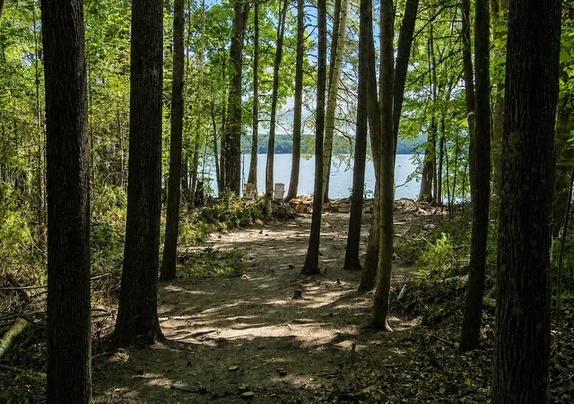 Photo 1 of Land for sale at Lot 16 Long Point Rd, Moultonborough, NH 03254 | MLS# 5105957 | Listing updated on 2026-09-08