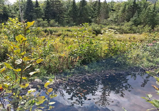 Photo 1 of Sale Pending at 0000 Albany Rd, Eden, VT 05653 | MLS# 5107149 | Listing updated on 2026-09-15