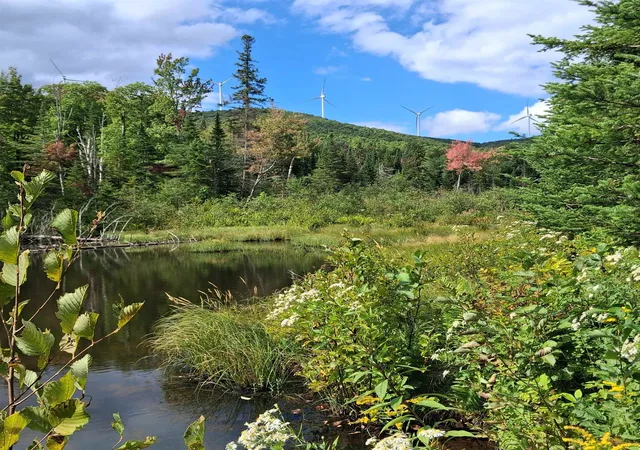 Photo 2 of Sale Pending at 0000 Albany Rd, Eden, VT 05653 | MLS# 5107149 | Listing updated on 2026-09-15