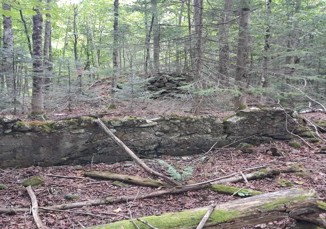 Photo 3 of Sale Pending at 0000 Albany Rd, Eden, VT 05653 | MLS# 5107149 | Listing updated on 2026-09-15