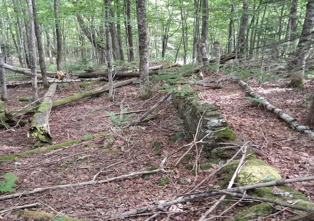 Photo 4 of Sale Pending at 0000 Albany Rd, Eden, VT 05653 | MLS# 5107149 | Listing updated on 2026-09-15