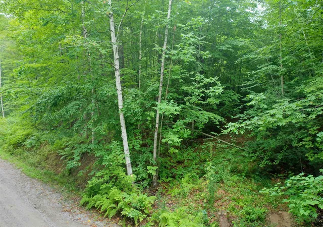 Photo 1 of Sale Pending at 0 Guide Board Hill Rd, Webster, NH 03303 | MLS# 5107203 | Listing updated on 2026-09-09