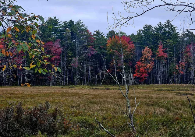 Photo 1 of Land for sale at Map 257 Lot 32 Route 11, New Durham, NH 03855 | MLS# 5107471 | Listing updated on 2026-10-01