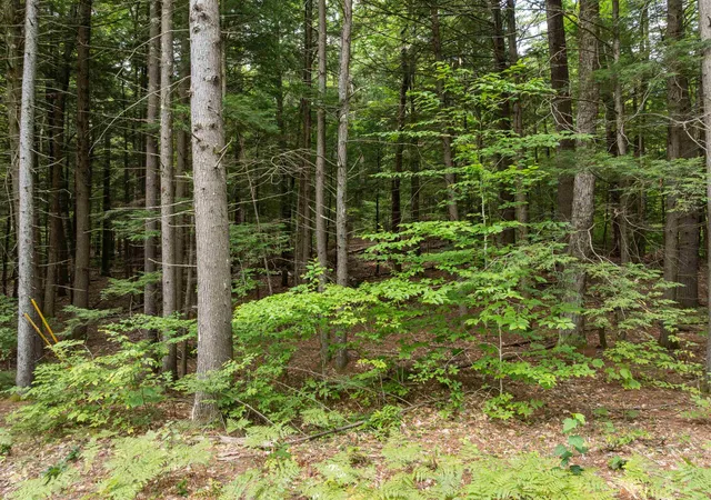 Photo 3 of Land for sale at 30 D Forest Pond Rd, New Hampton, NH 03256 | MLS# 5107570 | Listing updated on 2026-09-03