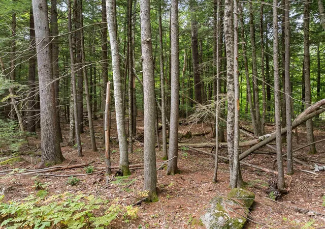 Photo 3 of Land for sale at 00 Forest Pond Rd, New Hampton, NH 03256 | MLS# 5107579 | Listing updated on 2026-09-03