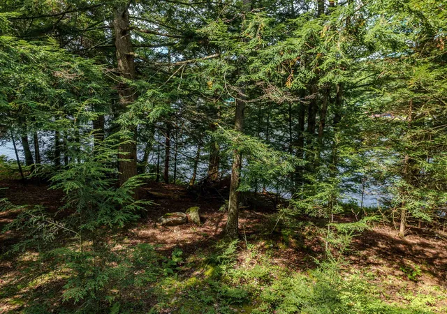 Photo 3 of Land for sale at 00 Hurd Hl Rd, Lyman, NH 03585 | MLS# 5107625 | Listing updated on 2026-09-07