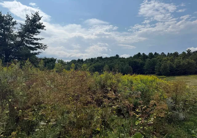 Photo 3 of Land for sale at 1594 Main St, Fairfax, VT 05454 | MLS# 5107632 | Listing updated on 2026-09-01