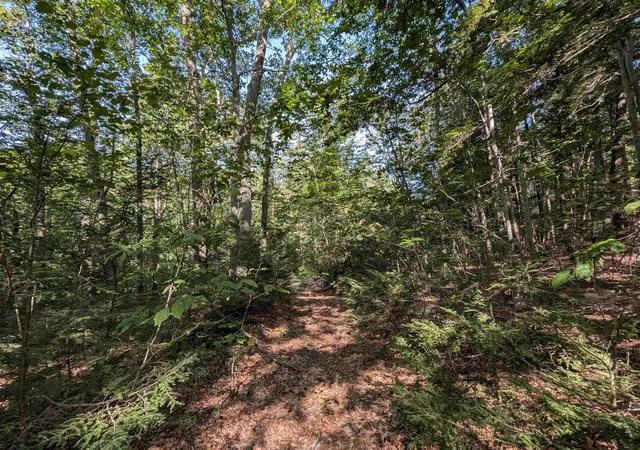 Photo 2 of Land for sale at Map 41 Lot 25 Jewett Rd, Weare, NH 03281 | MLS# 5107642 | Listing updated on 2026-09-10