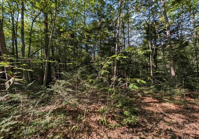 Photo 3 of Land for sale at Map 41 Lot 25 Jewett Rd, Weare, NH 03281 | MLS# 5107642 | Listing updated on 2026-09-10