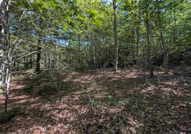 Photo 3 of Land for sale at Map 41 Lot 25 Jewett Rd, Weare, NH 03281 | MLS# 5107642 | Listing updated on 2026-09-18
