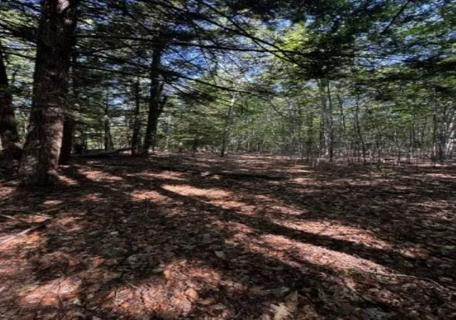 Photo 4 of Land for sale at Map 41 Lot 25 Jewett Rd, Weare, NH 03281 | MLS# 5107642 | Listing updated on 2026-09-18