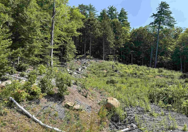 Photo 14 of Land for sale at 543 Thorn Hl Rd, Bartlett, NH 03845 | MLS# 5107758 | Listing updated on 2026-09-02