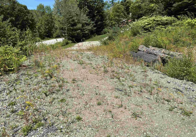 Photo 2 of Land for sale at 543 Thorn Hl Rd, Bartlett, NH 03845 | MLS# 5107758 | Listing updated on 2026-09-02