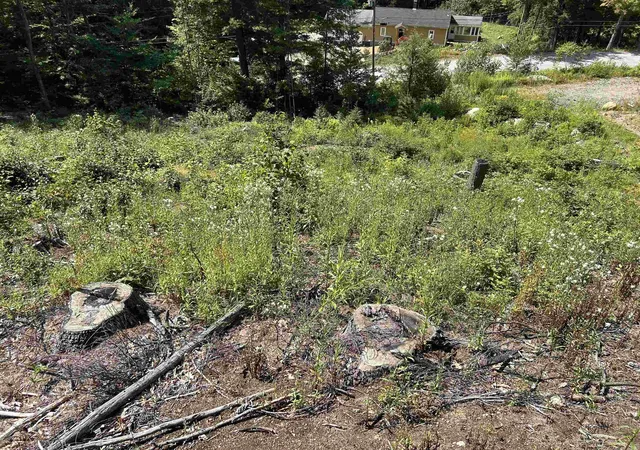 Photo 3 of Land for sale at 543 Thorn Hl Rd, Bartlett, NH 03845 | MLS# 5107758 | Listing updated on 2026-09-02