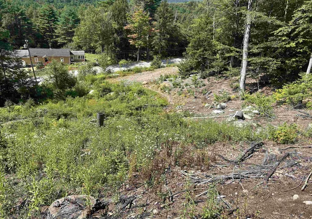 Photo 4 of Land for sale at 543 Thorn Hl Rd, Bartlett, NH 03845 | MLS# 5107758 | Listing updated on 2026-09-02