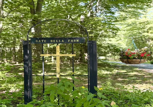 Photo 3 of Single family home for sale at 381 Toad Hl Rd, Sugar Hill, NH 03586 | MLS# 5107770 | Listing updated on 2026-09-18