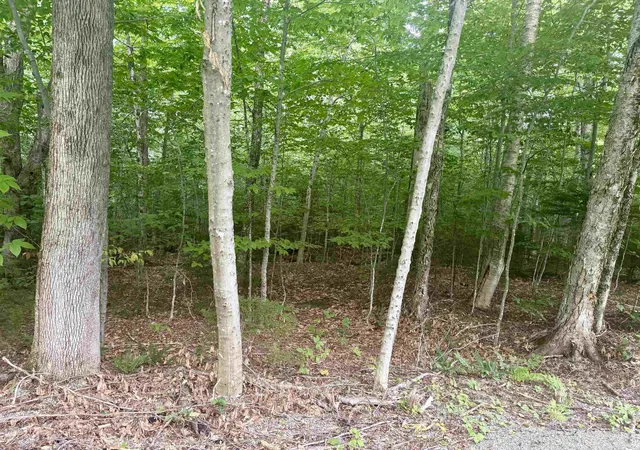Land for sale at 17 Nina Ln, West Dover, VT 05356 | MLS# 5107810