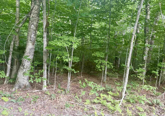 Photo 3 of Land for sale at 17 Nina Ln, West Dover, VT 05356 | MLS# 5107810 | Listing updated on 2026-09-02