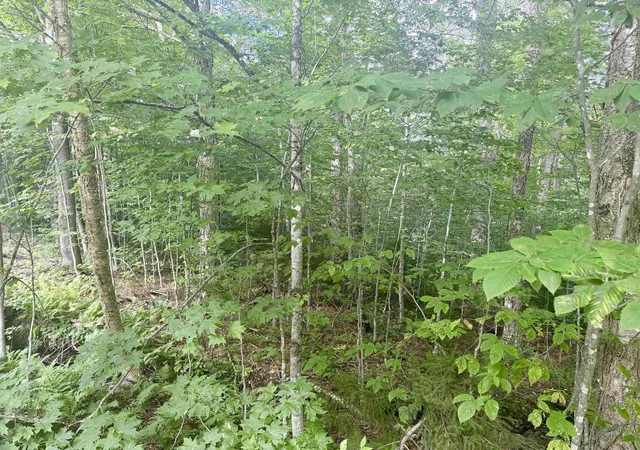 Photo 4 of Land for sale at 17 Nina Ln, West Dover, VT 05356 | MLS# 5107810 | Listing updated on 2026-09-02