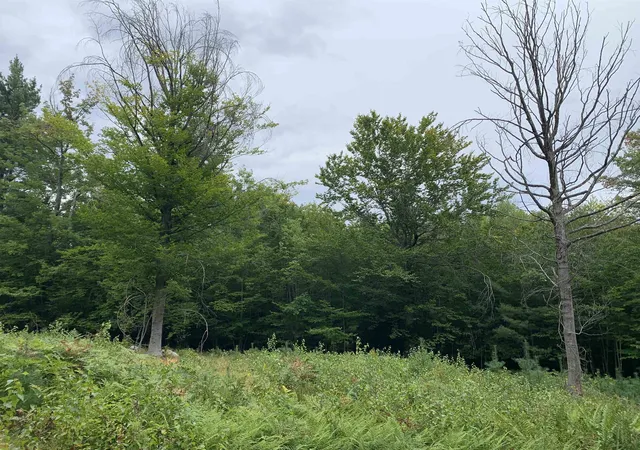 Photo 2 of Land for sale at 17 Skline Way, Madison, NH 03849 | MLS# 5107914 | Listing updated on 2026-09-02