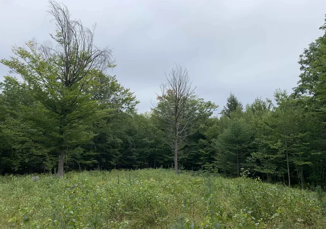 Photo 3 of Land for sale at 17 Skline Way, Madison, NH 03849 | MLS# 5107914 | Listing updated on 2026-09-02