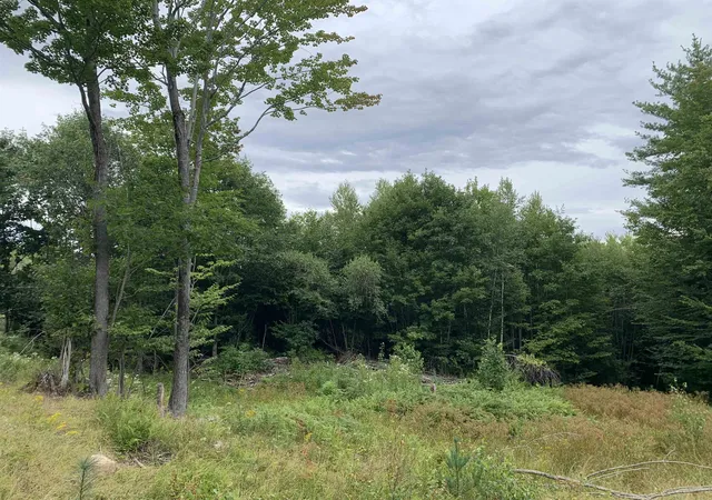 Photo 3 of Land for sale at 17 Skline Way, Madison, NH 03849 | MLS# 5107914 | Listing updated on 2026-09-02