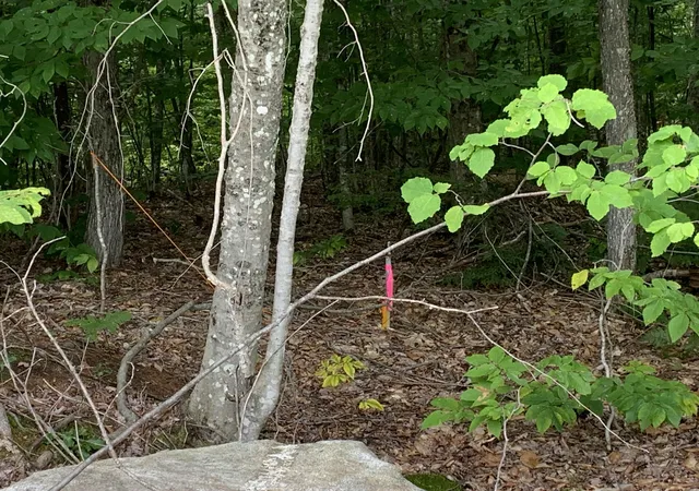 Photo 4 of Land for sale at 17 Skline Way, Madison, NH 03849 | MLS# 5107914 | Listing updated on 2026-09-02