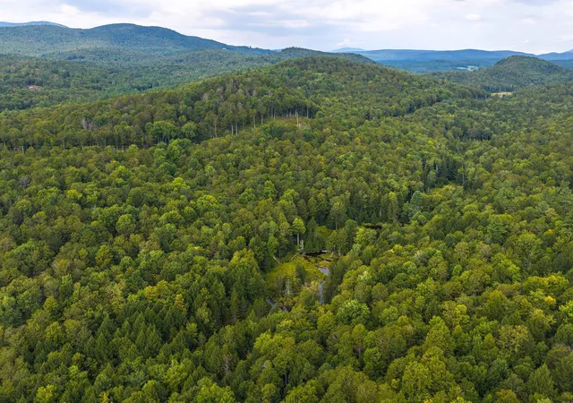 Land for sale at 00 Pratt Brg Rd, Jamaica, VT 05143 | MLS# 5107954